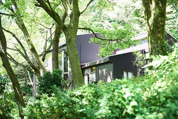 INN_THE_PARK_03.jpg