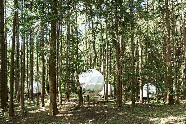 INN_THE_PARK.jpg