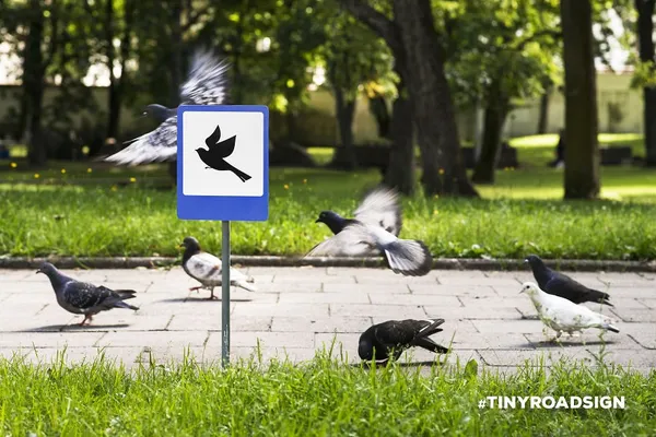 tinyroadsign_微型動物路標04.jpg