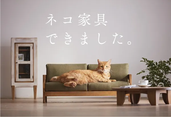 為貓咪而設計，貓奴必備的縮小版家具