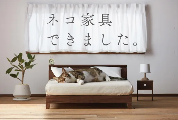 大川市_等比縮小貓咪家具.jpg