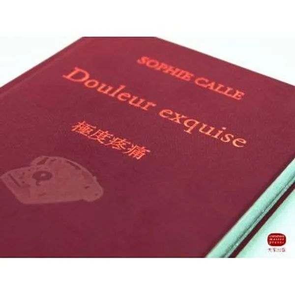read_浮光極度疼痛書封.jpeg