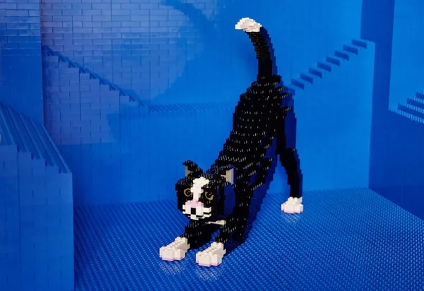 樂高屋Lego_House.jpg