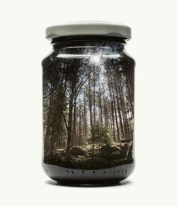 christoffer-relander.jpg