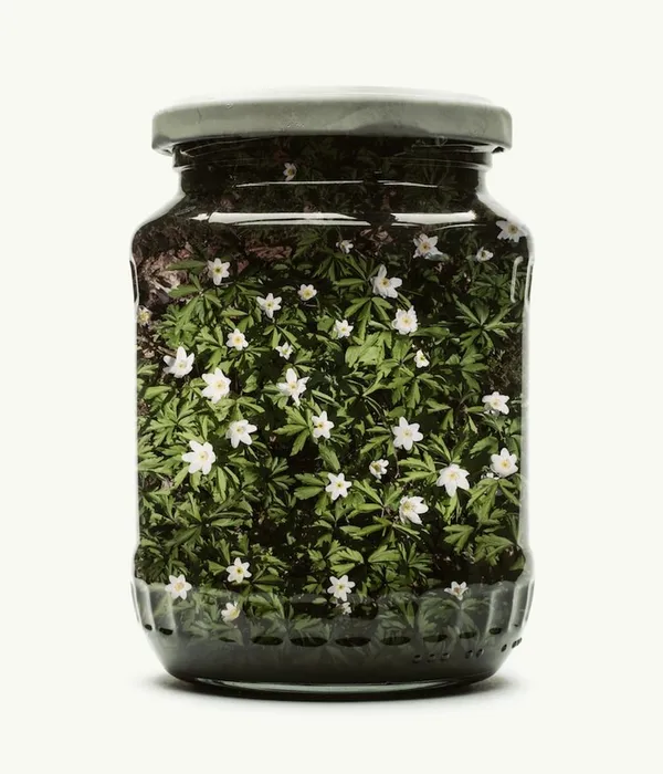 christoffer-relander.jpg