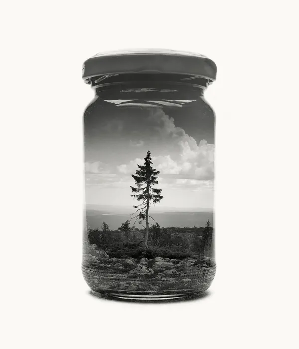 Christoffer Relander.jpg