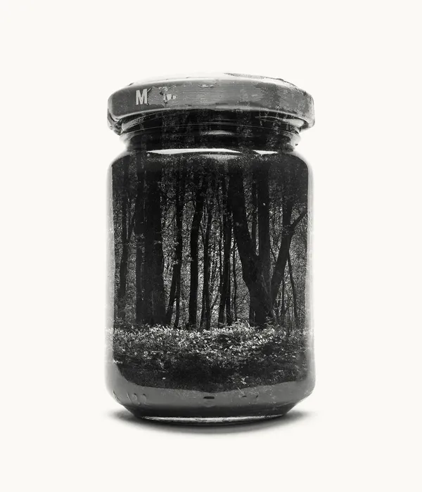 Christoffer Relander.jpg