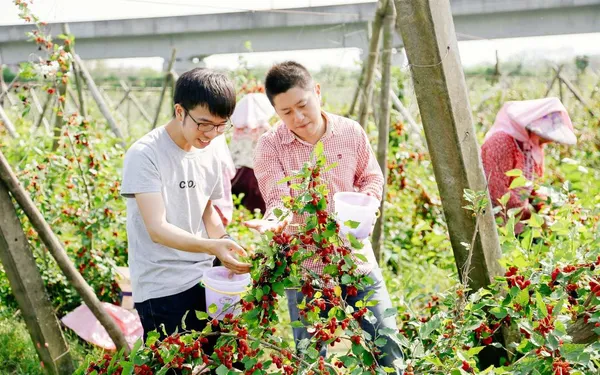 用甜點記憶台南_上下游