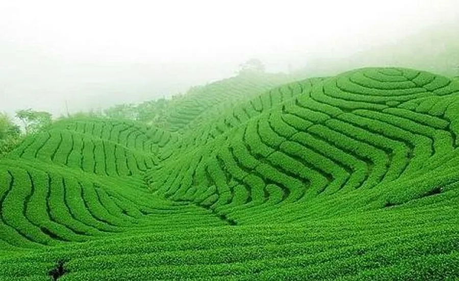 從竹山小鎮看「地方創生」核心：不用人潮引錢潮