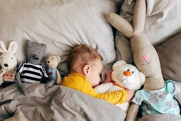 Philomena Kloss PK Bear