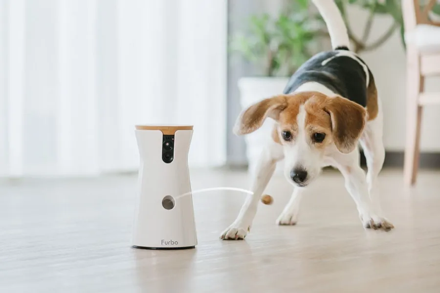 台灣創新！加上 AI 的 Furbo 狗狗攝影機！要你在外也可關心毛小孩