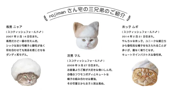 Rojiman_貓毛氈帽.jpg