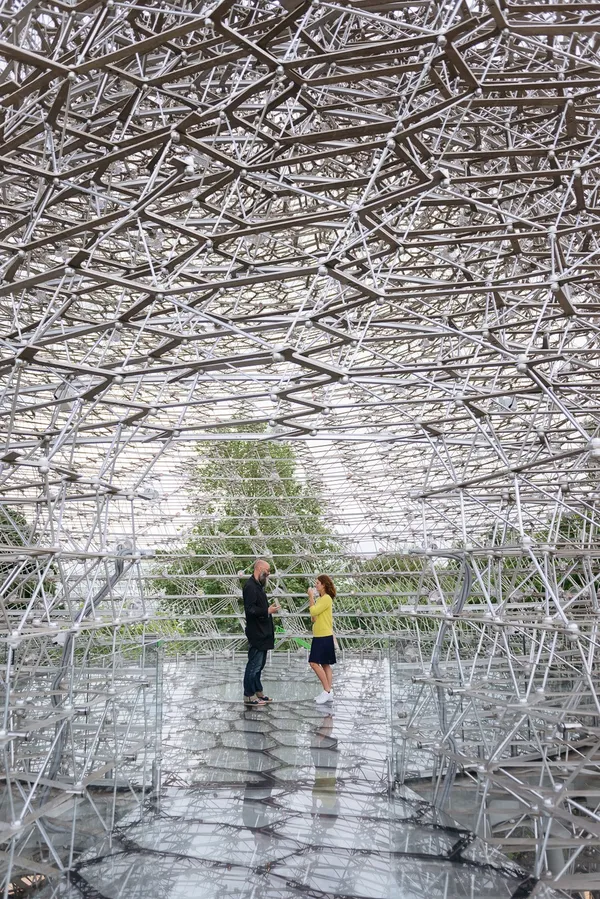 The Hive_蜂巢.jpg