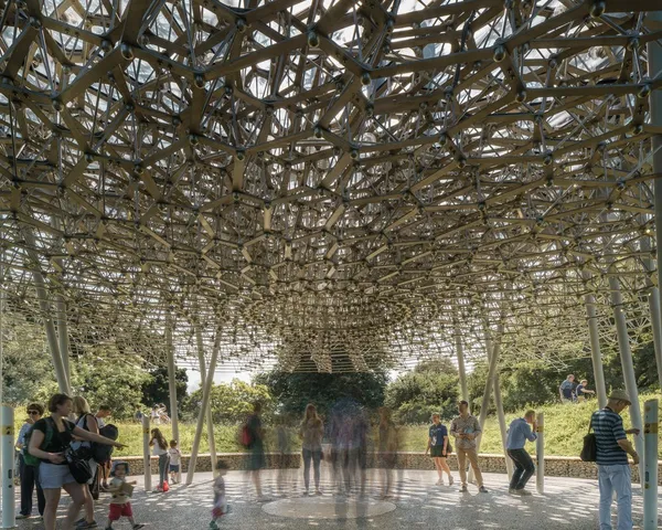 The Hive_蜂巢.jpg