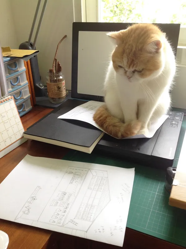 專訪插畫家陳又凌.jpg