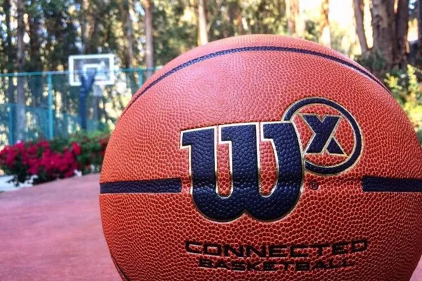 Wilson X Connected Basket