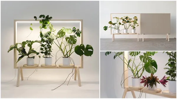 為辦公室開一扇綠窗！取代傳統屏風隔間的「Green Frame」