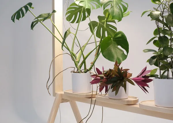 GreenFrame盆栽架.jpg