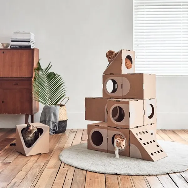 貓屋_a_cat_thing.jpg