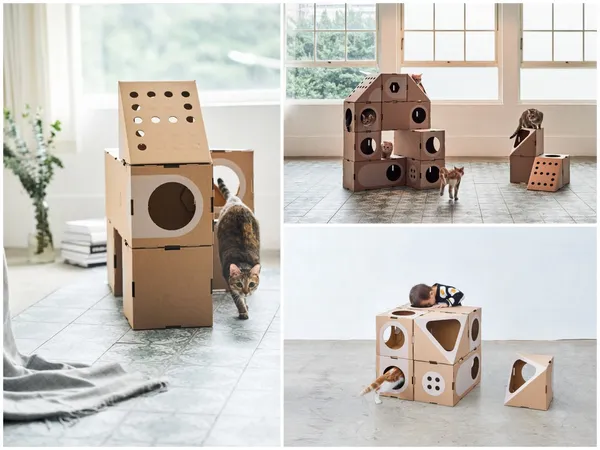 貓屋a cat thing.jpg
