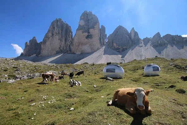ecocapsule_trecime.jpg