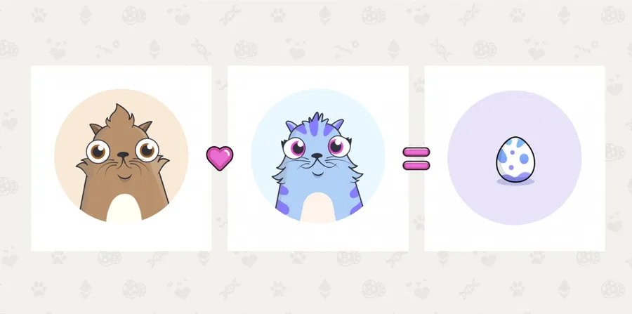 獲AppWorks在內千萬美元投資！Dapper Labs在區塊鏈實現貓咪養成計畫