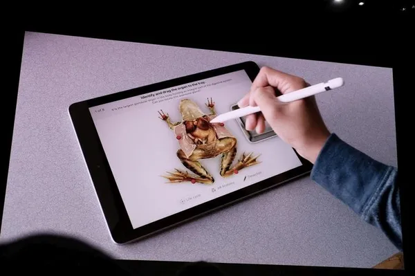 用 Apple Pencil 解剖 AR 青蛙.jpg