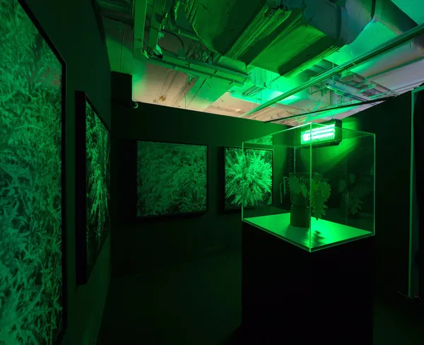 KAF_Emerald City_香港K11(5).jpg