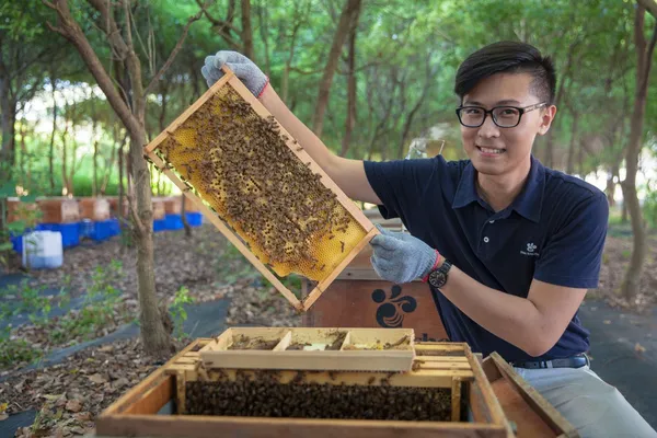 蜜蜂工坊總經理 黃親皇