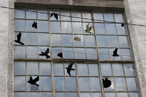 街頭藝術Pejac.jpg