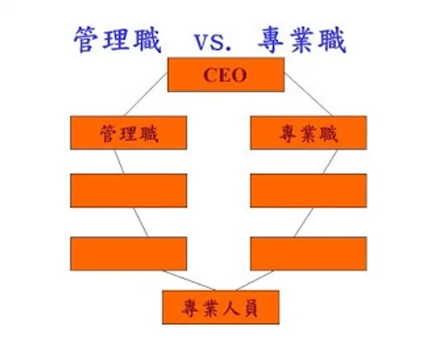 雙生涯職涯路徑.jpg