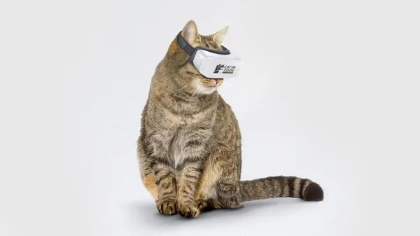 「天啊！眼前這些魚都我的嗎？」國外推出世界首款貓咪專屬 VR 眼鏡，開放預購中