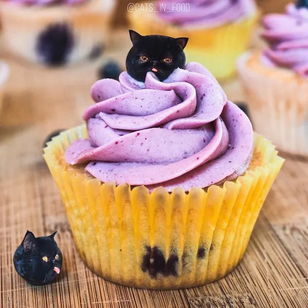 喵在哪裡都可以_cats in food19.jpg