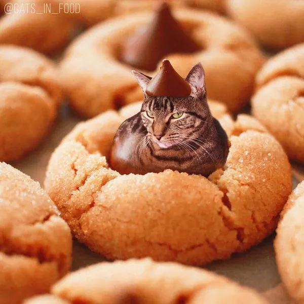 喵在哪裡都可以_cats in food20.jpg