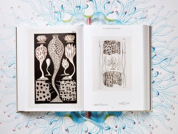 Taschen_Ernst Haeckel_生物學家畫冊.jpg