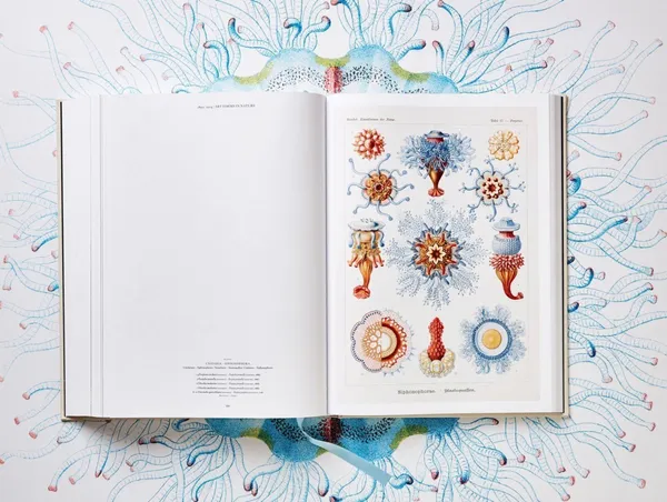 Taschen_Ernst Haeckel_生物學家畫冊.jpg