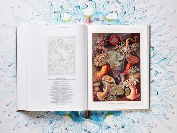 Taschen_Ernst Haeckel_生物學家畫冊.jpg