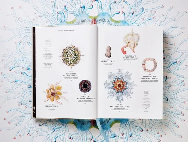 Taschen_Ernst Haeckel_生物學家畫冊.jpg
