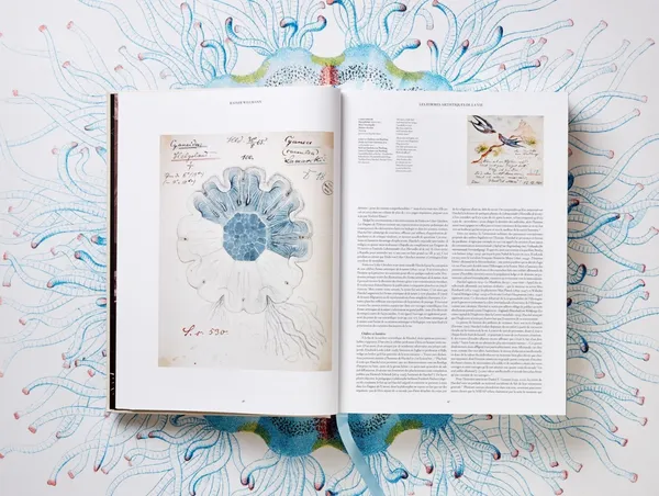 Taschen_Ernst Haeckel_生物學家畫冊.jpg