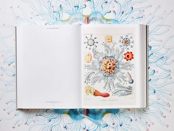 Taschen_Ernst Haeckel_生物學家畫冊.jpg
