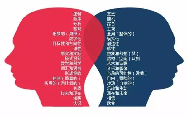 HI+AI人機協同作業1.jpg
