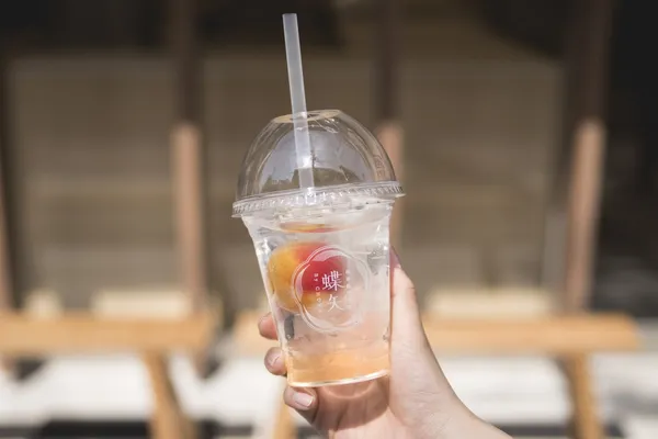 蝶矢CHOYA.jpg