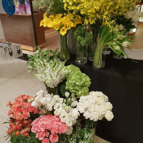 diptyque_20180511_144944.jpg