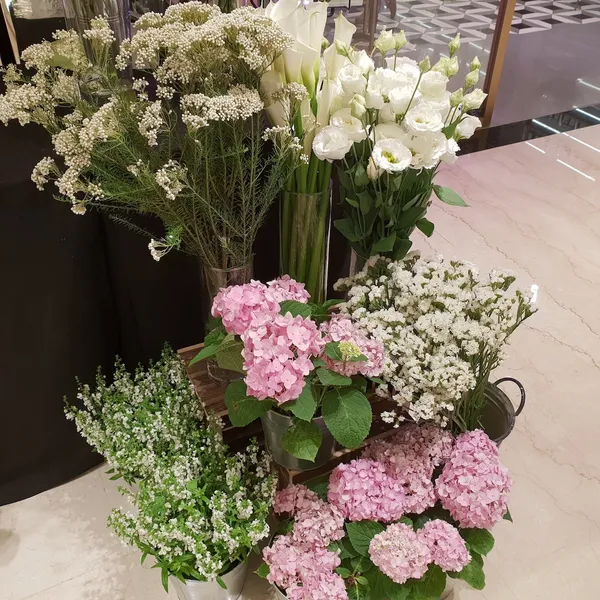 diptyque_20180511_144950.jpg