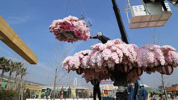 日本樂高櫻花樹.jpg