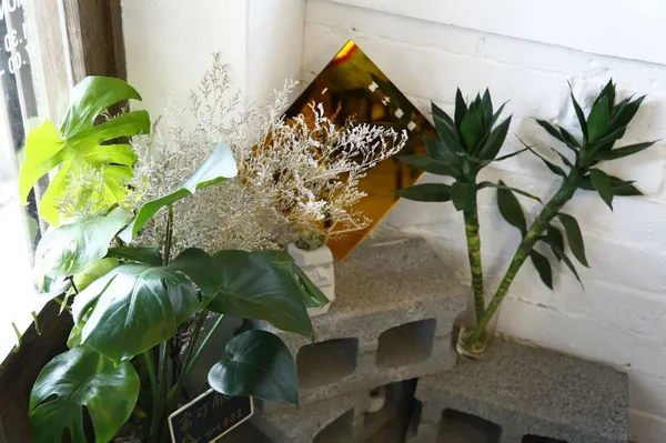 富士咖哩