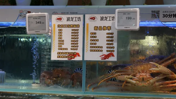 超級物種