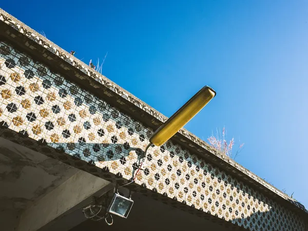 都蘭小紅花_4.庭院.jpg
