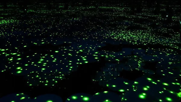 teamLab