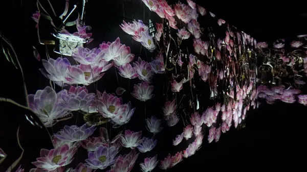 teamLab